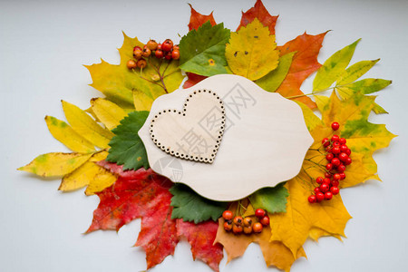两颗心的秋叶爱秋天季节的象征秋天的心情季节销图片