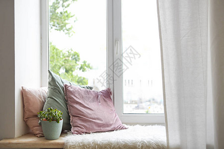 方形枕头格子和植物在窗户上阅读角图片