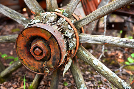 一个老旧的风化腐烂的木制车轮图片