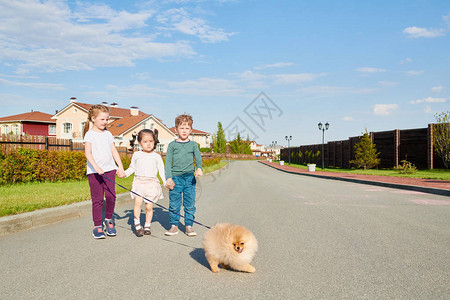 3名儿童在阳光下行走的小图片