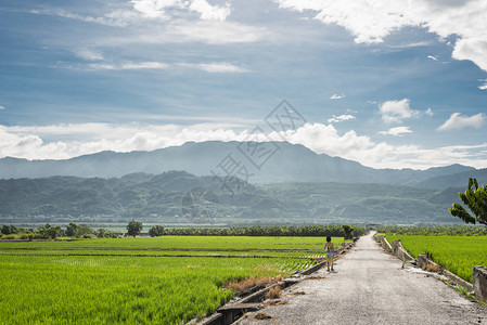 云天的乡村道路景观高清图片