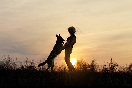 女人在日落时与狗玩耍图片