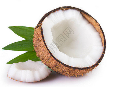 孤立在白色背景上的椰子背景图片