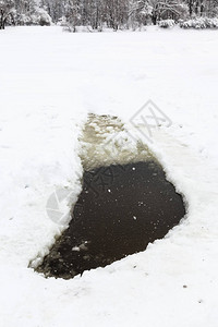 莫斯科市蒂米里亚泽夫斯基公园寒冬降雪的图片