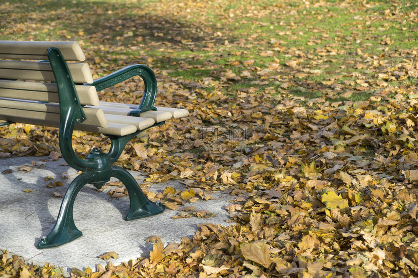 公园里有秋叶的长凳图片