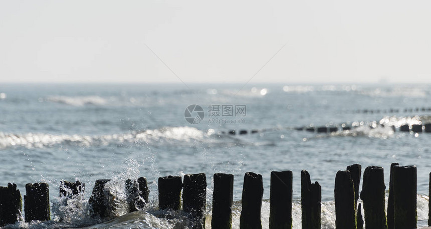 寒冷海中的木质断水夏天早上图片