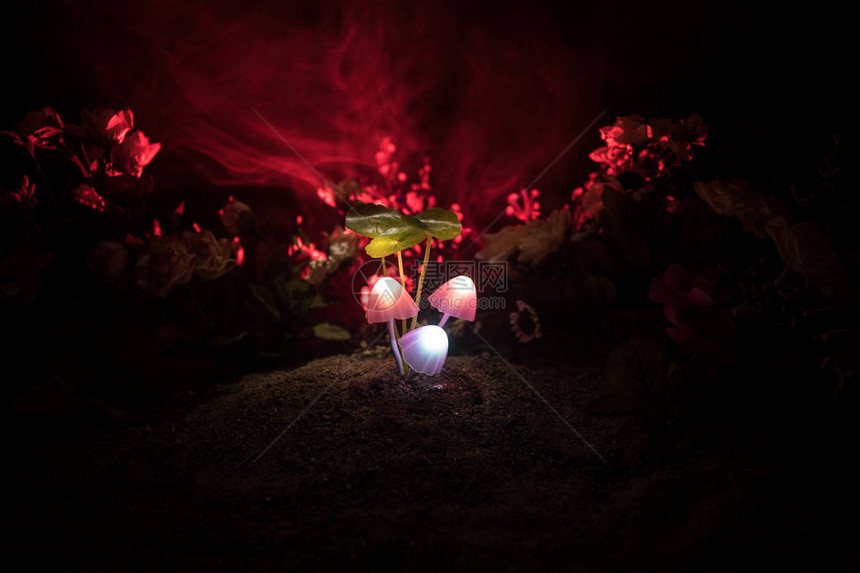 神秘黑暗森林特写中的三个幻想发光蘑菇神奇蘑菇或三个灵魂在化身森林中迷失的美丽微距镜头背景上有雾的灯图片
