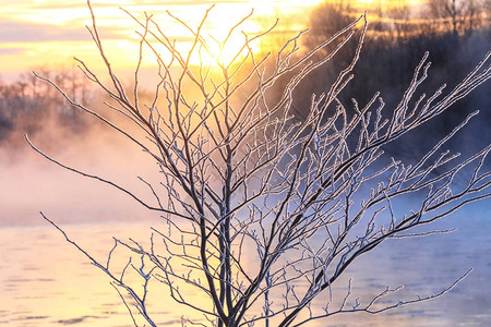 冬季北海道的风景背景图片