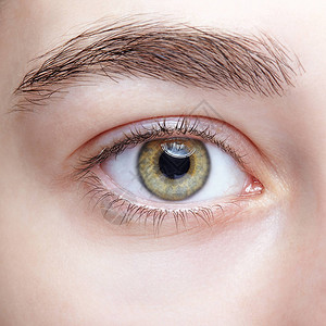 女眼睛的近视宏观镜头女眼睛用绿色活塞色和图片