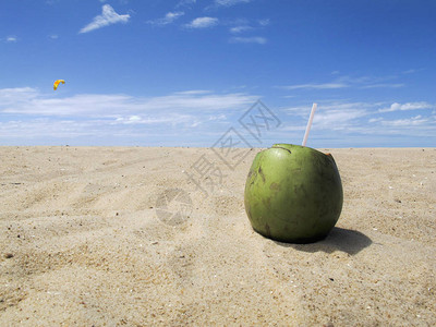 海滩日带稻草的大绿椰子图片