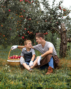 父子俩在花园里采摘苹果累了的孩子和成年男子坐在靠近红苹果图片