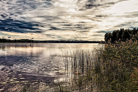 夏季的太阳在芬兰哈帕维西的一个宁静湖下升起图片
