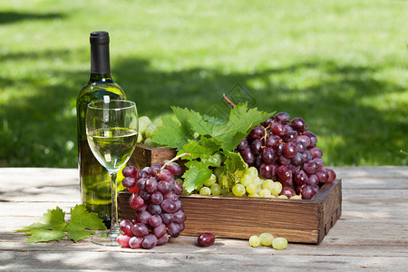 白葡萄酒和葡萄户外静物图片