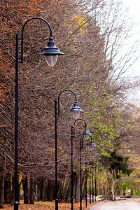 秋天在市政公园的绿灯侠秋天背景图片
