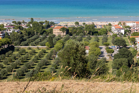 意大利RosetodegliAbruzzi的橄榄园和亚图片