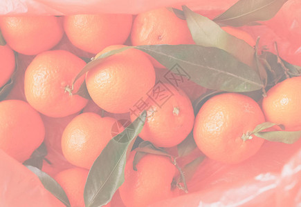 橘子Citrustangerina水果素食图片