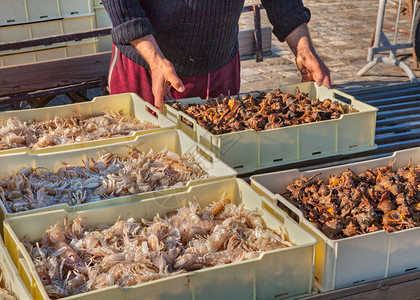 地中海鱼类和海产食品图片