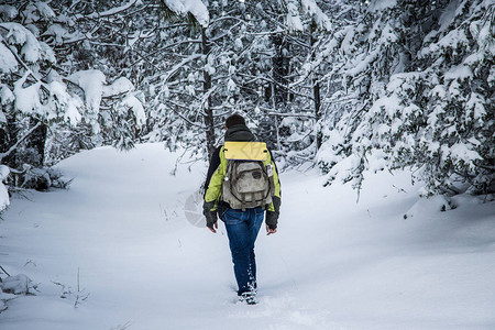 一个人穿过白雪皑的森林冬季景观图片