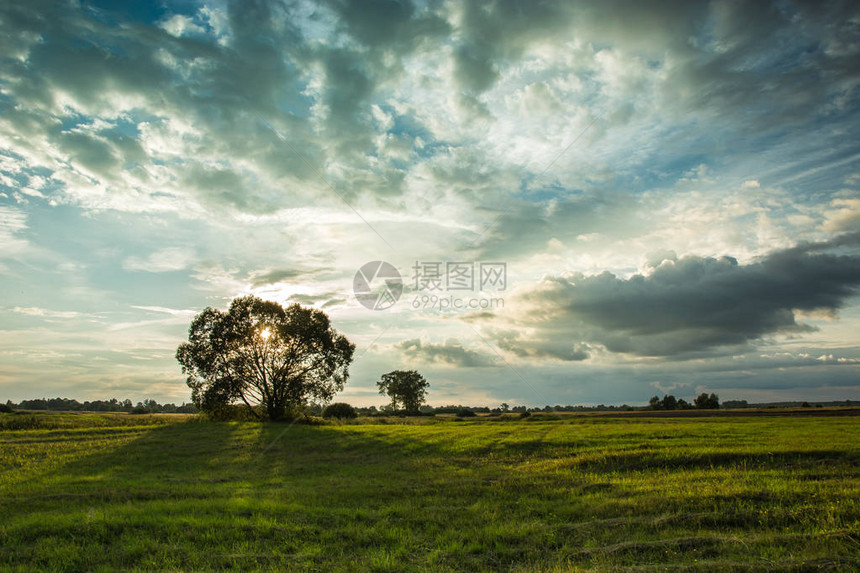 草地上的一棵树和sk中的云背后的落日图片