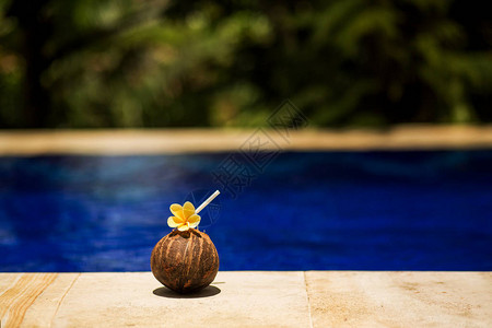 池畔有黄色花的椰子饮料图片