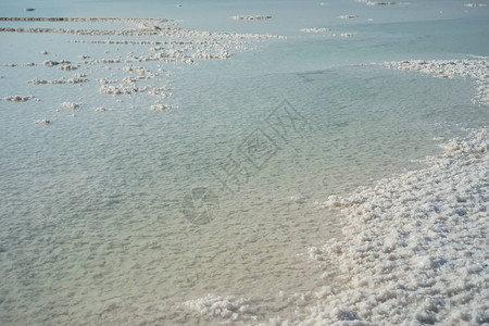死海的盐咸海岸图片