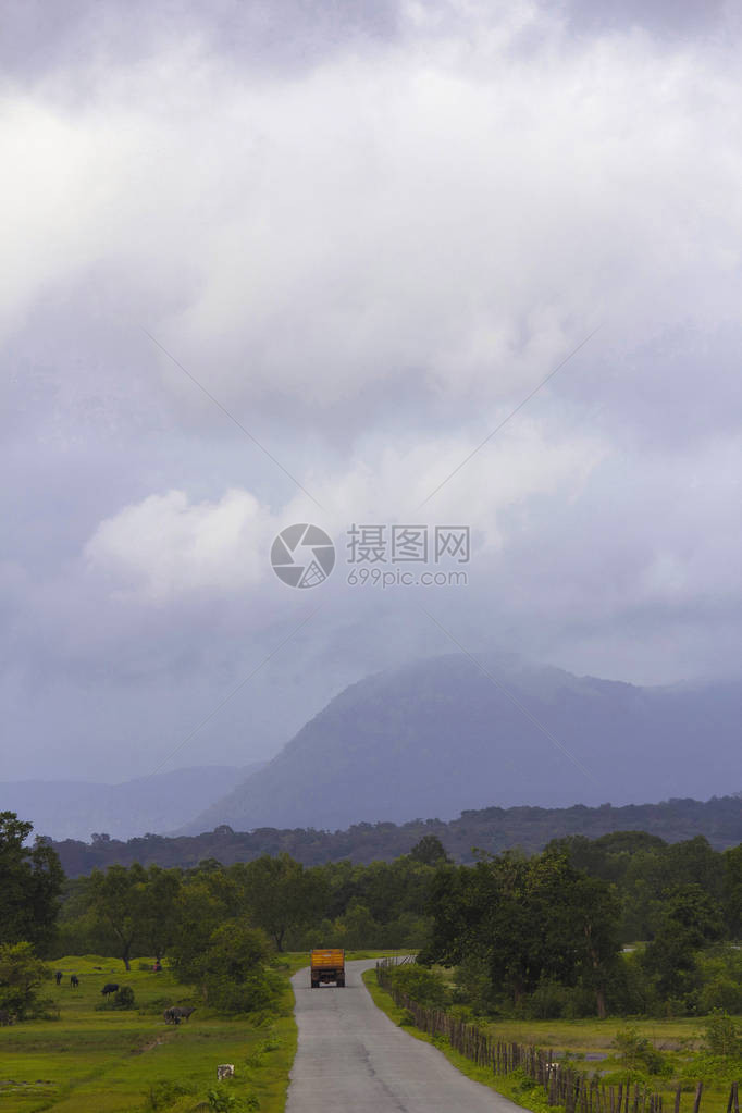 通往印度卡纳塔卡邦沙拉瓦蒂野生动物图片