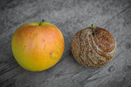 新鲜的苹果和腐烂的苹果躺在灰色的背景上图片