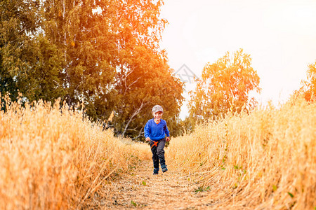 麦田上的小男孩在阳光下奔跑图片