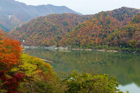 秋林湖景图片