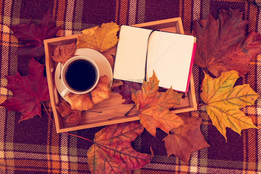咖啡杯打开笔记本和秋叶在温暖图片