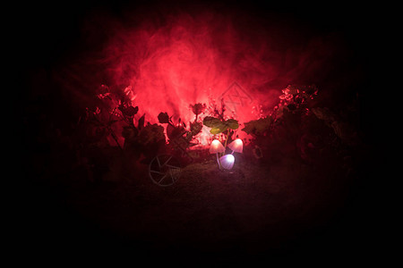 神秘黑暗森林特写中的三个幻想发光蘑菇神奇蘑菇或三个灵魂在化身森林中迷失的美丽微距镜头背景上有雾的灯背景图片