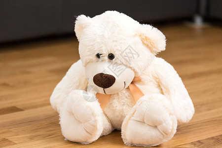 坐在地上的微笑泰迪熊玩具图片