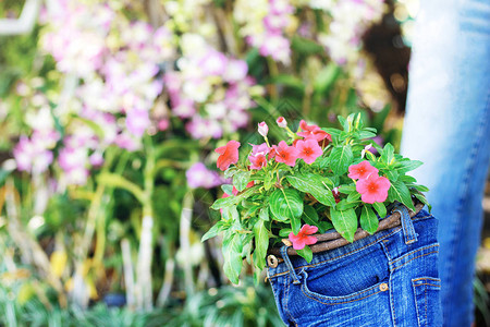 蓝色牛仔裤上的粉色花朵图片