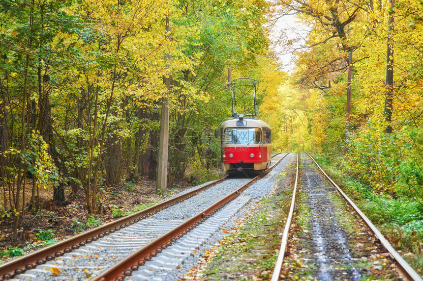 红复古电车沿途穿过秋林图片