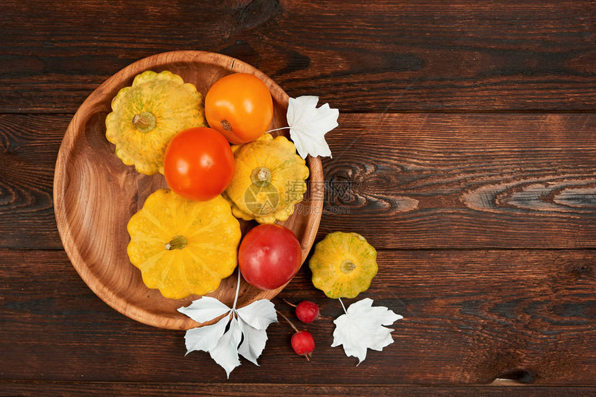 用南瓜和红色橙色西红柿组成秋季装饰框架图片