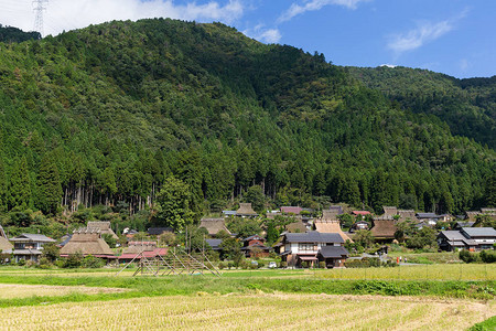 日本老村美山图片