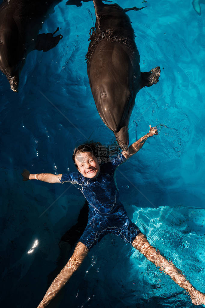 女孩与瓶鼻海豚在蓝水中游泳图片