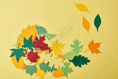 以黄色背景排列的彩色纸做的叶子布置图片