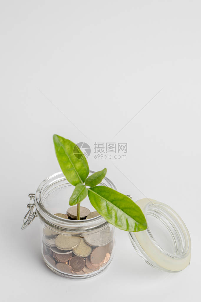 在玻璃罐子里的硬币里面生长着绿色植图片