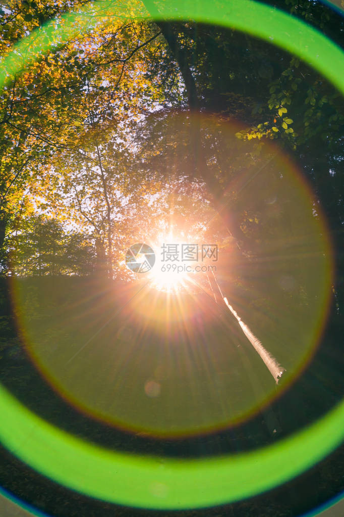 日落森林中的球面透镜光晕色差图片