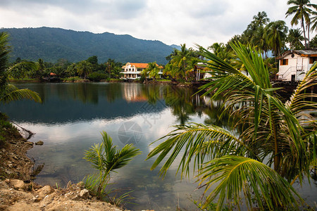 亚热带的湖泊背景是房屋图片