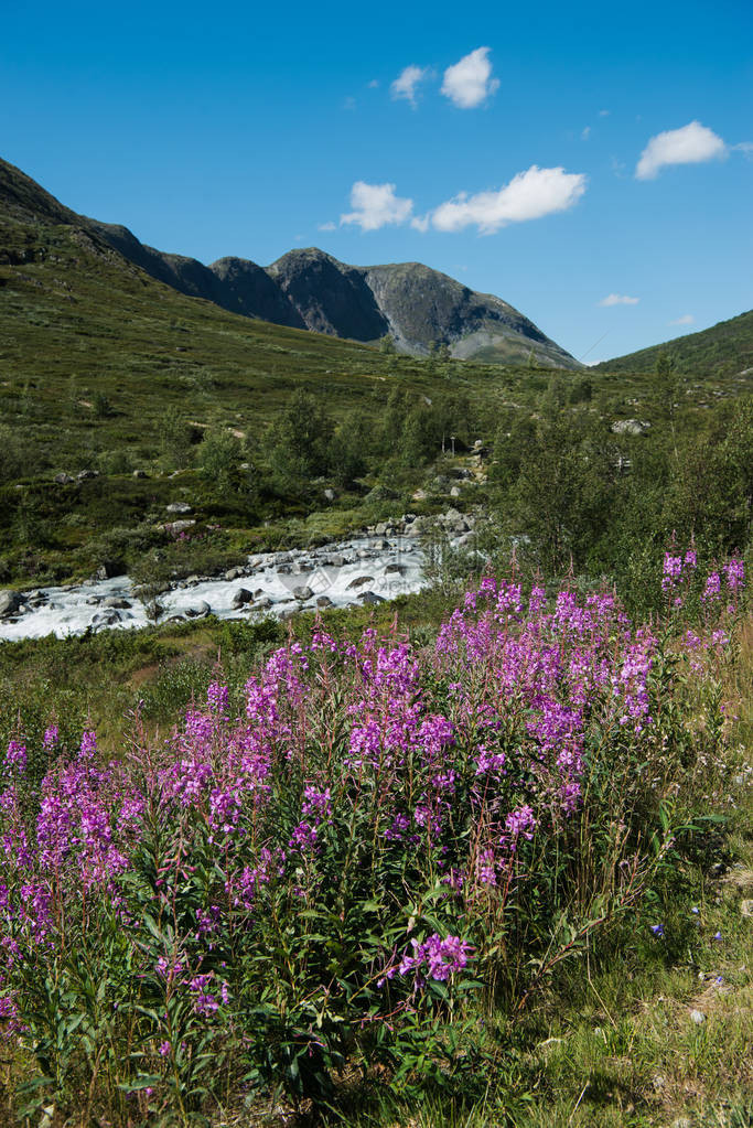 挪威Jotunheimen公园Besseggen山脊图片