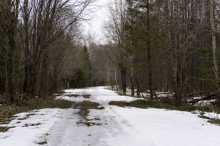 在雪融化的早春森林空地上结冰的土路图片