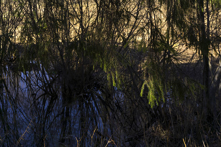 春河谷的偏僻牛弓湖图片