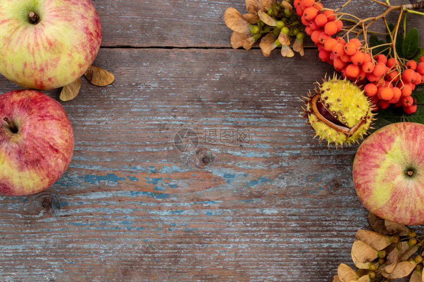 落叶和水果的秋天背景图片