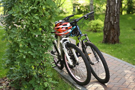 夏日公园里的现代自行车图片