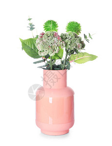 白色背景上的绿色植物花瓶图片