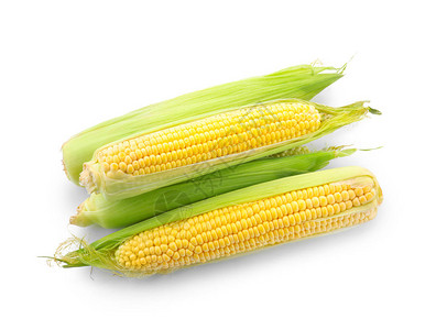 白色背景上的成熟玉米芯图片