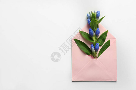 用白色背景上的鲜花打开邮件信封图片