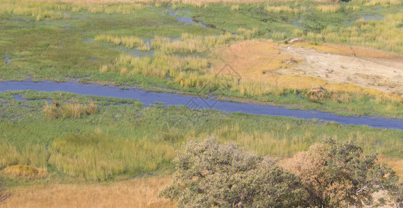 奥卡万戈三角洲空中观察博茨瓦图片